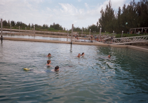 We swam around for about 30 minutes.