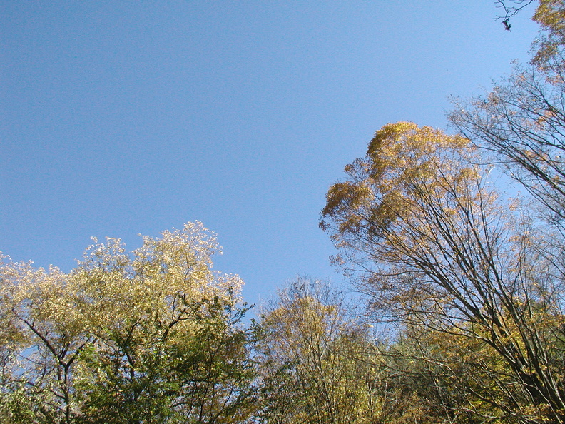 PA080029.JPG