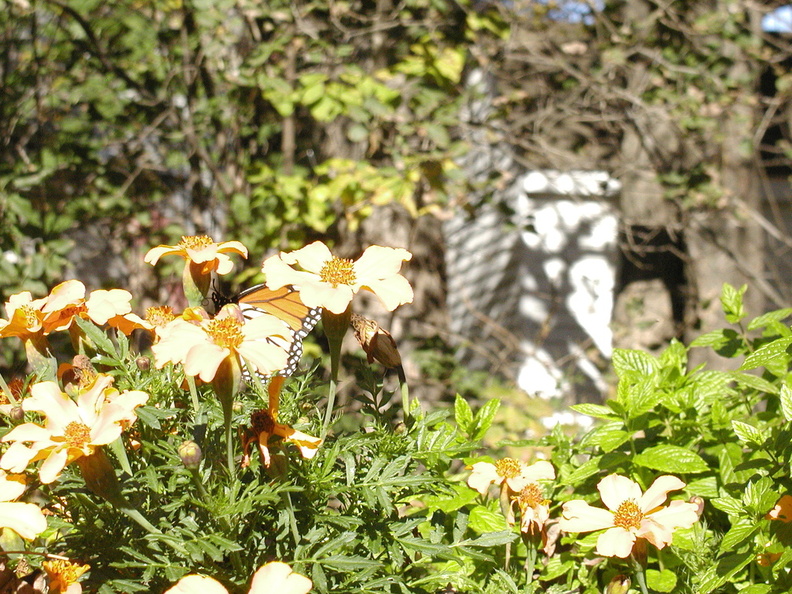 PA080047.JPG