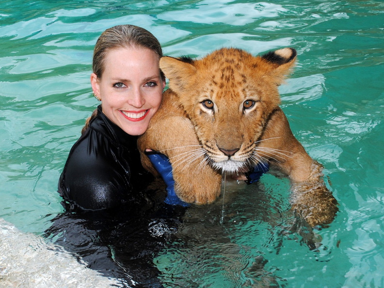 Aries the Liger Baby Swimming