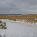 Winter at the beach