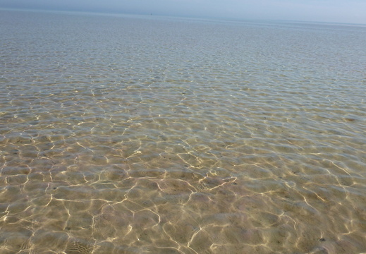 Ripples of the ocean