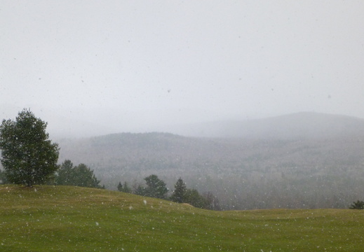 Green landscape when snowing