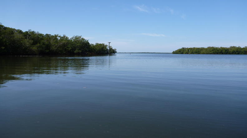 P1000442.JPG