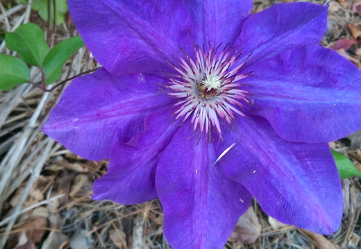 I love the vibrant color!