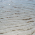 The waves made ripples in the sand.