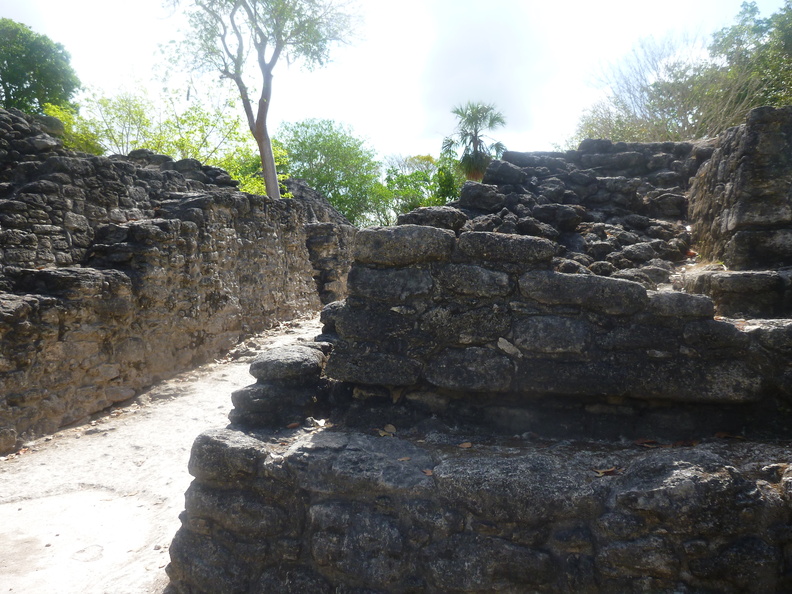 P1020873.JPG