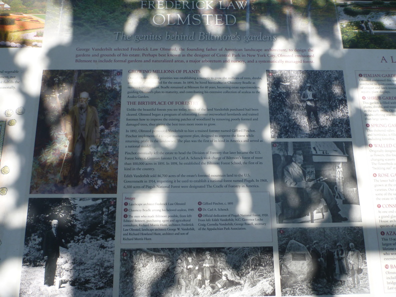 P1030627.JPG