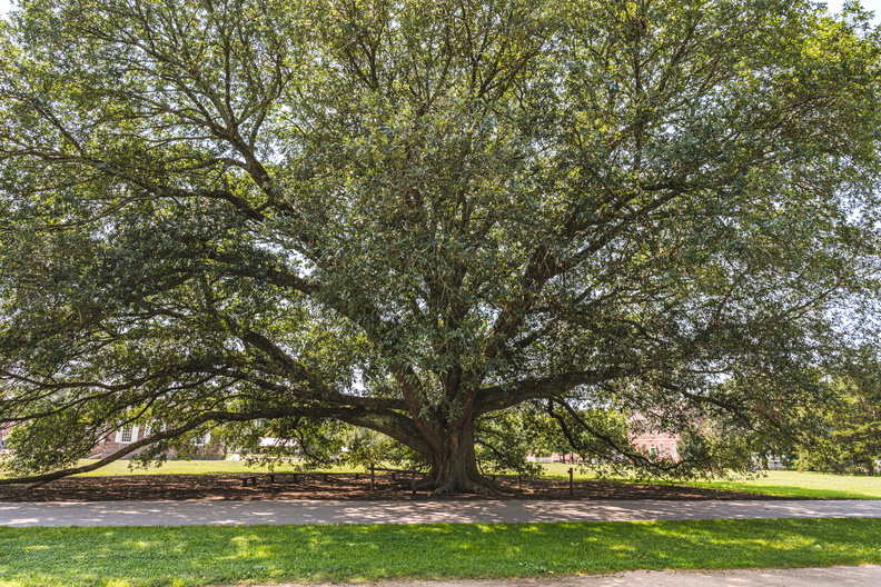Colonial Williamsburg (11 of 15).jpg