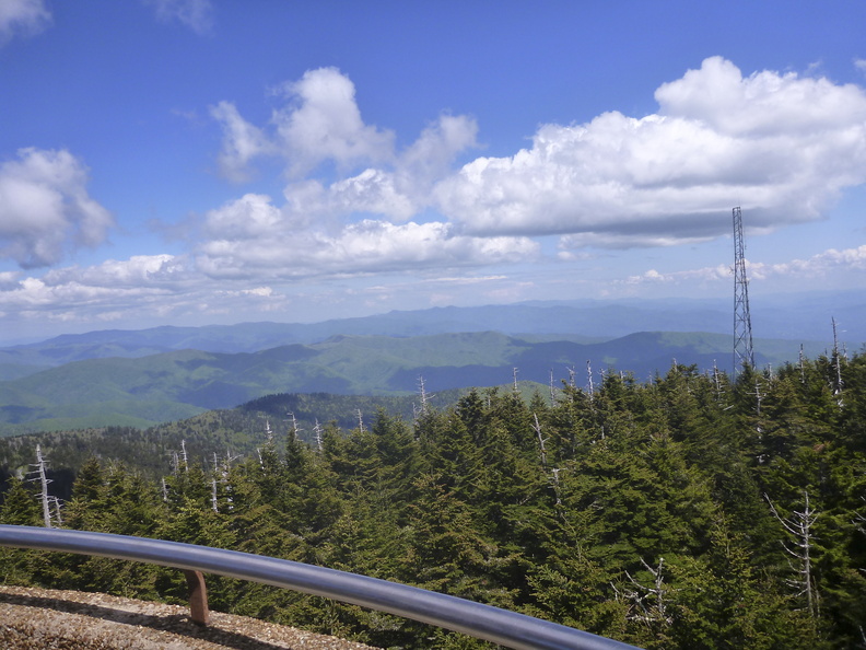 Appalachian Trail (12 of 25).jpg
