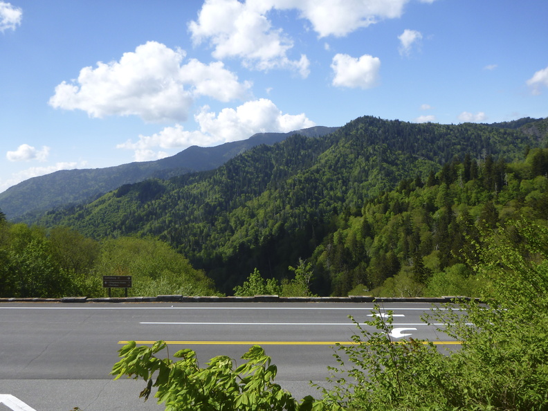 Newfound Gap (11 of 14).jpg