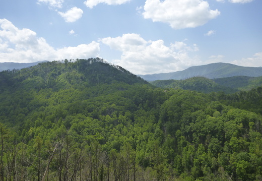 Anakeesta